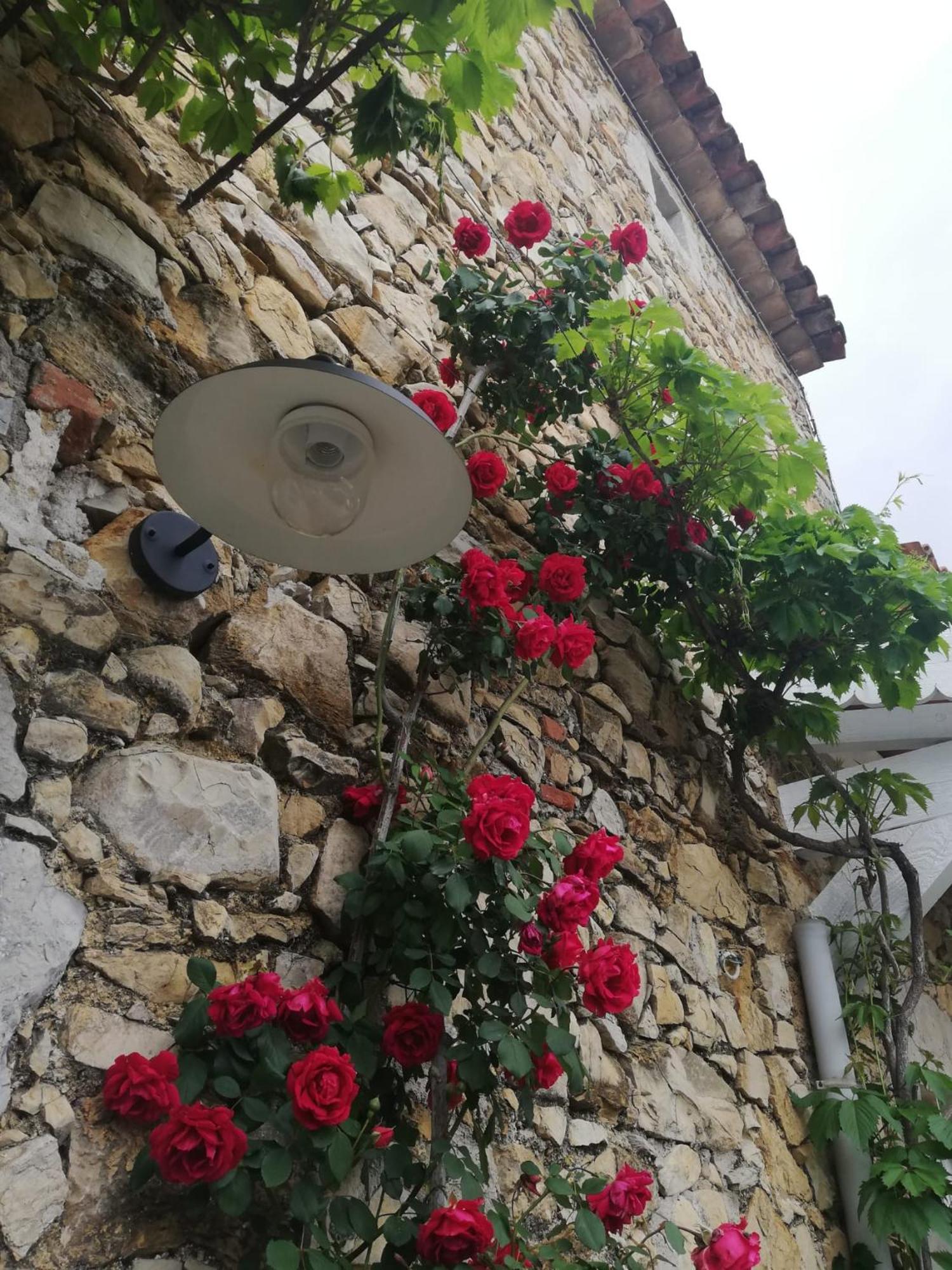 Magnanerie Le Mas D'Elise Boisset-et-Gaujac Exterior photo